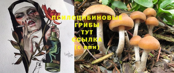 каннабис Вяземский