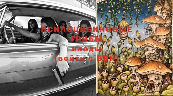 крисы Вязники