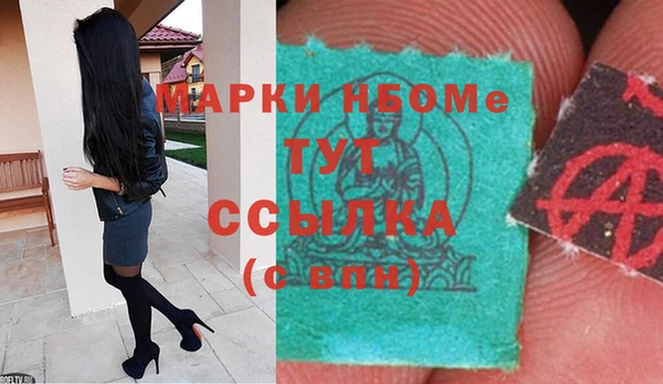 крисы Вязники